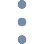 Ellipsis V SVG Icon